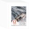 11x14 White Pre-Cut Picture Mats for 8.5x11 Photos, Prints, Artworks - White Core Bevel Cut 8x10.5 Openings Acid Free Frame Mattes 1.4Mm Thickness - Pack of 12